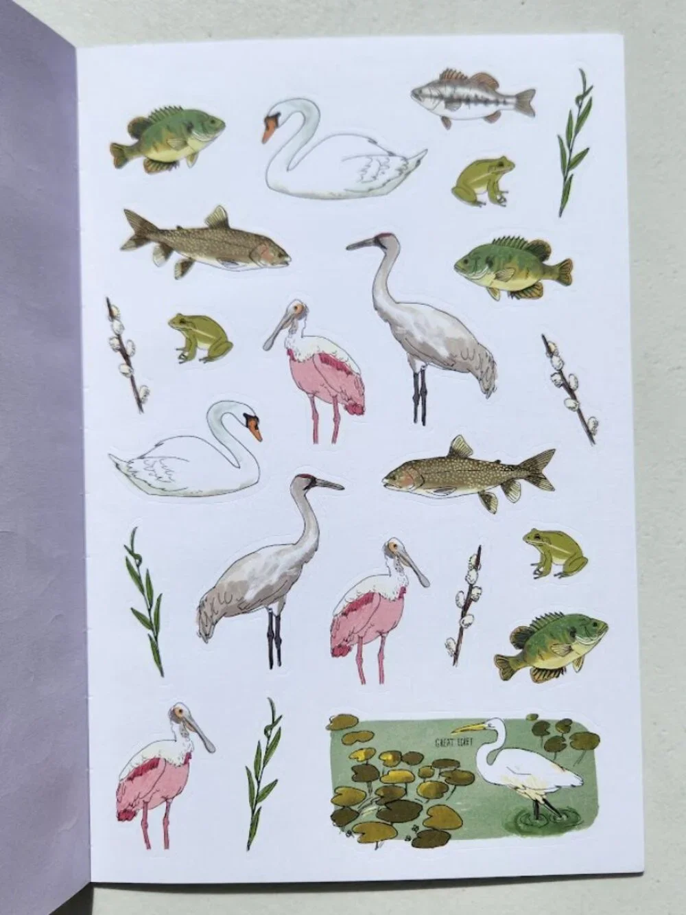 Nature Anatomy Sticker Book Julia Rothman 750 Stickers birds, feathers, wildflow